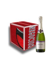 Andre Brut 750ML Caja (12*1)